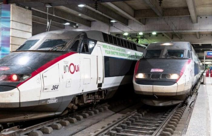 SNCF: traffic will be disrupted all weekend on the Paris-Lyon-Marseille line: News