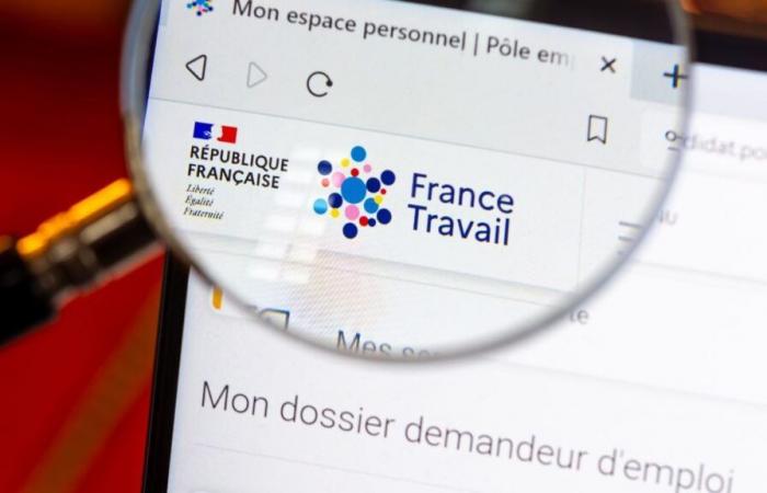 “I am a France Travail advisor, here is how much I earn per month”