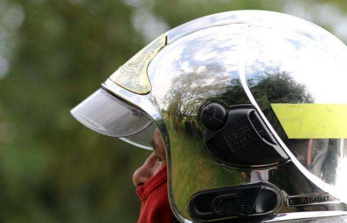 If they want to continue working, these Loire firefighters will have to shave