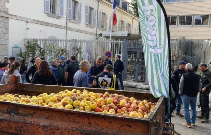 The prefect of Hautes-Alpes heard the arborists and gave them satisfaction