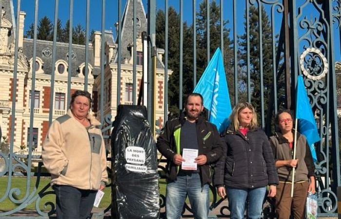 Modef rally in front of the prefecture in Tulle: denounce “the death of family farmers”