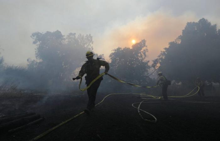 Fire in Los Angeles: more than 8,300 hectares burned, homes destroyed and thousands of residents evacuated