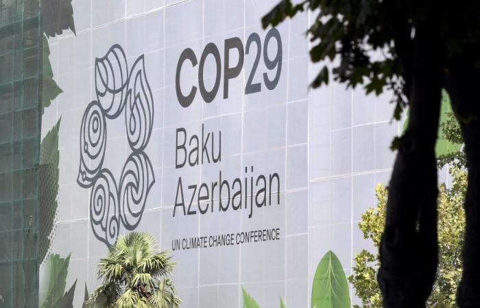 A first in 10 years: no Walloon minister will go to COP29 in Azerbaijan, why?