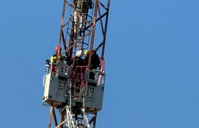 the man perched on a pylon came down