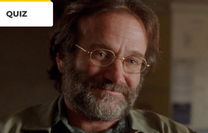 Cinema Quiz: 10 Robin Williams films to recognize! : Cinema and series