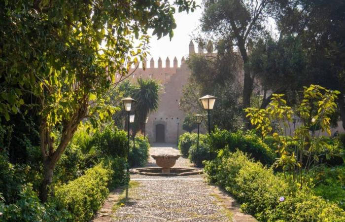 At the Jardin d’Essais, the art of El Ghrib flourishes under the sign of the living