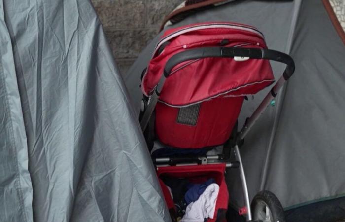 REPORTING. In France, hundreds of babies sleep on the streets due to lack of accommodation