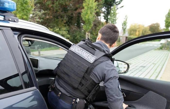 A motorist indicted for attempted murder of gendarmes in Loire-Atlantique