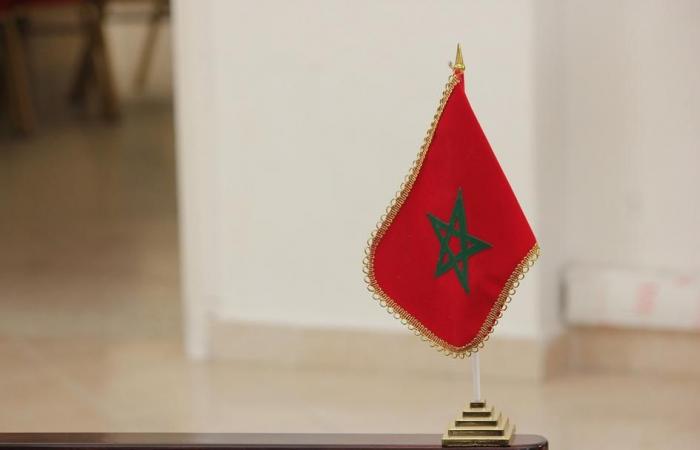 French grain trade: what conclusions can be drawn from the official France-Morocco meeting?