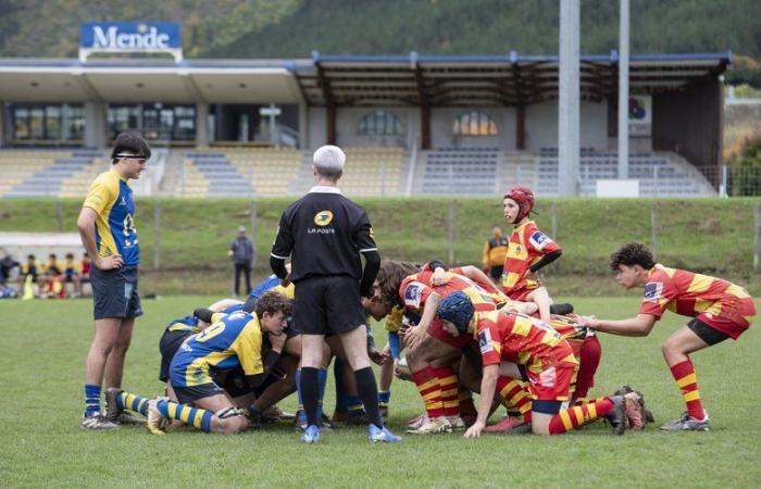 Rugby: the youth of Rugby Club Mende Lozère welcome Ras Bassin Sud Montpelliérain on Saturday, for a high-intensity day