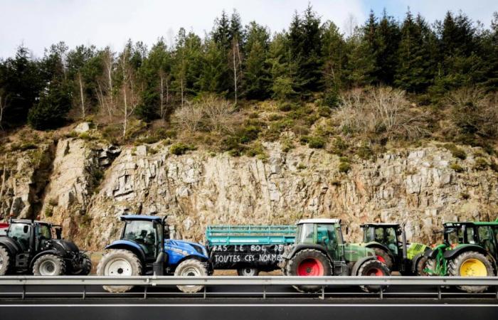 In Corrèze, agricultural anger at its beginnings