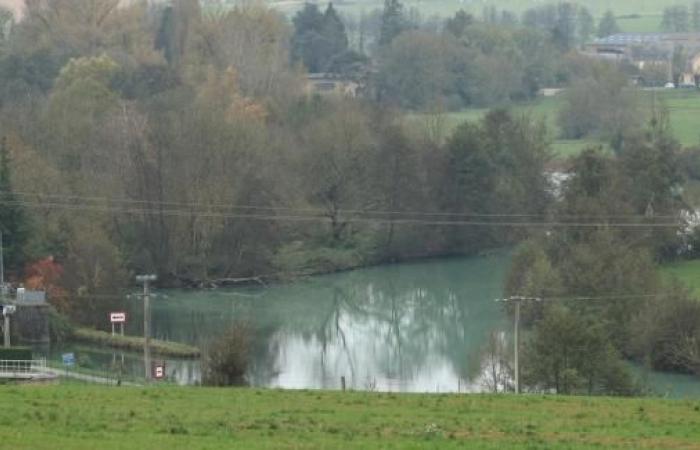 a company accidentally releases two tonnes of latex into the Meuse