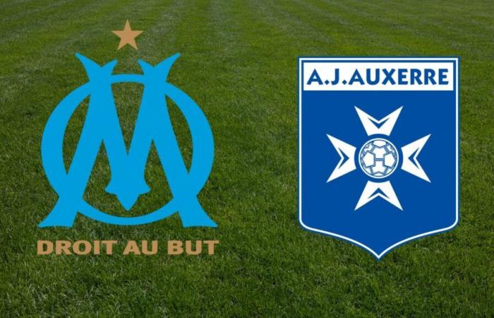 Auxerre: at what time and on which channel to watch the Ligue 1 match live?