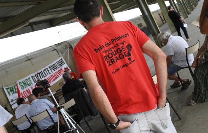 Troubled day on the trains this Friday due to a strike by railway workers starting from Perpignan