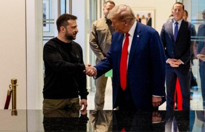 Ukraine: Elon Musk participated in the “excellent” conversation between Donald Trump and Volodymyr Zelensky