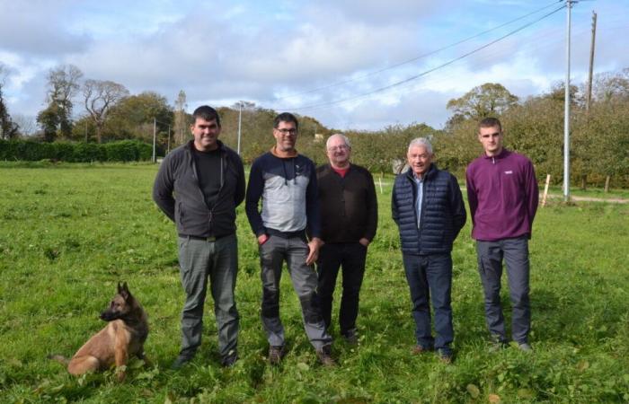 Finistère. A comic, an open farm and motivated young people in Bigouden country