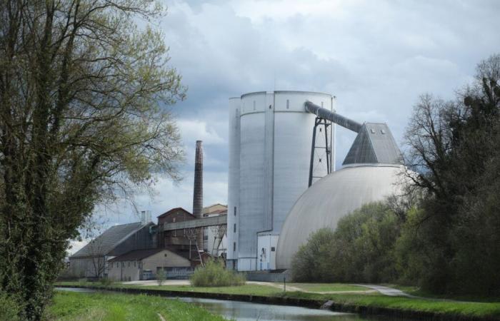 But where does the sugar that suffocates hundreds of fish in Seine-et-Marne come from?