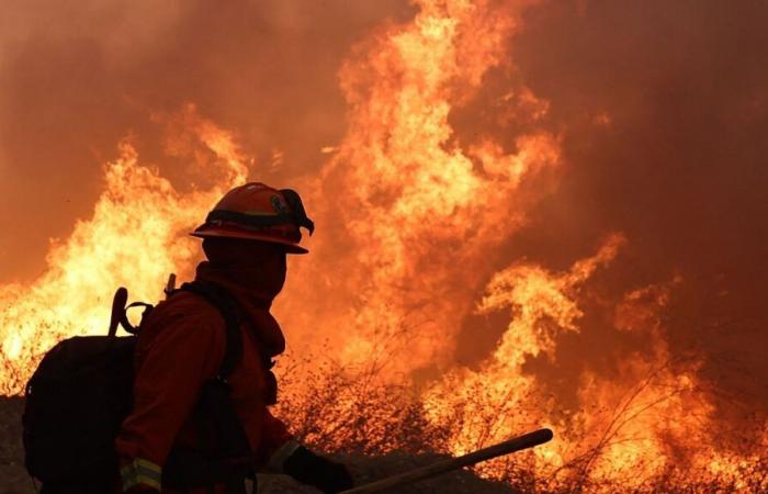 California engulfed in flames, Donald Trump threatens to suspend state aid for disasters