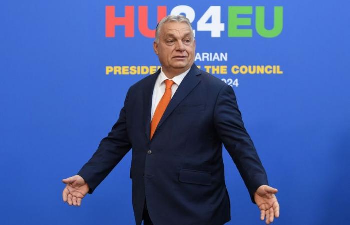 Donald Trump elected president | Orban calls on Europeans to “move from war to peace” in Ukraine