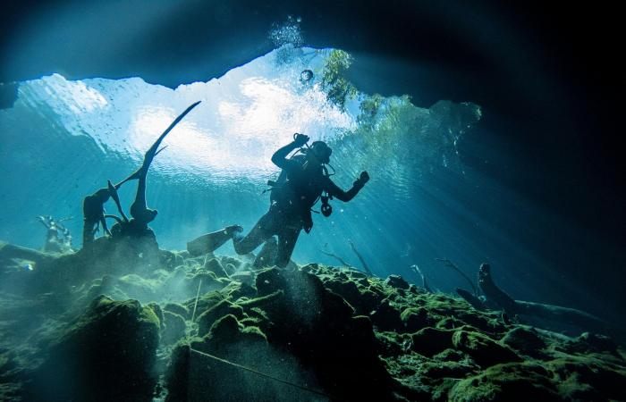 8 of the best cenotes near Tulum