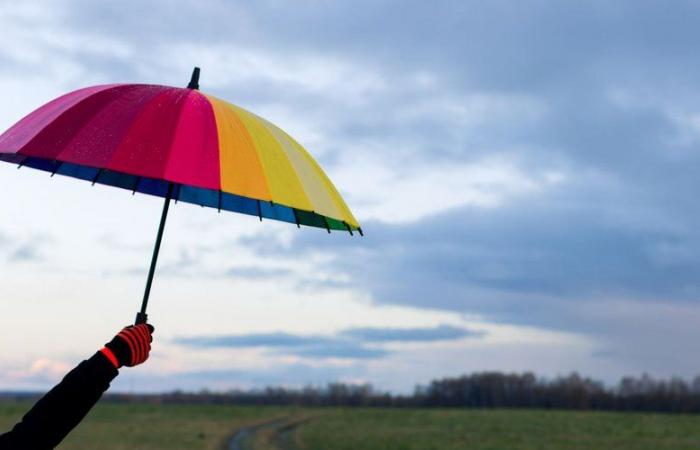 Rain-flood, thunderstorms: Hérault and Aude on orange alert from 6 p.m. this Friday, what should we expect?