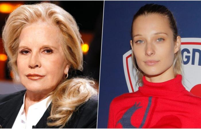 “Alas…”, Sylvie Vartan makes a sad confession about Ilona Smet’s son