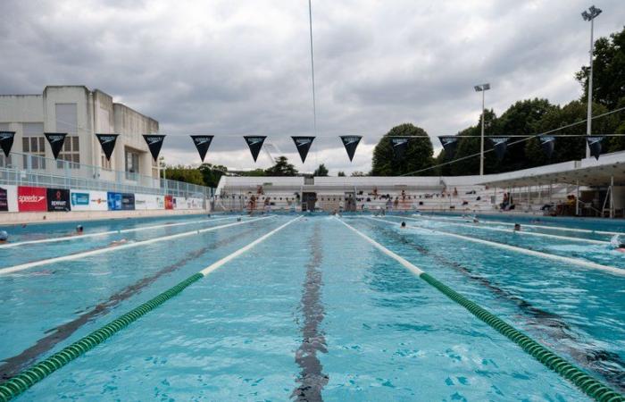 “A real fight that we won”: in Toulouse, the City of Swimming will have its “Léon Marchand” pool