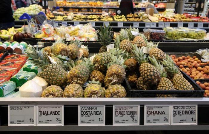 The Council of State cancels a decree banning plastic packaging for fresh fruit and vegetables