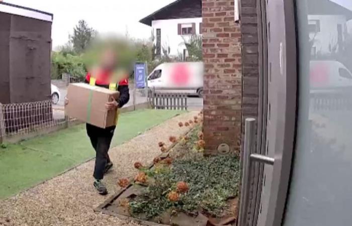 the behavior of this DPD delivery man shocks the owner of the package, unfortunately for him, there was a camera (video)