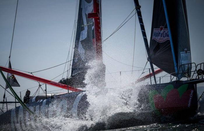 a record number of participants, ever faster boats… What you need to know about the round the world race