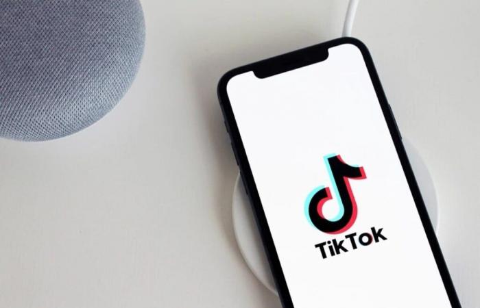 This country bans TikTok, the company is a threat to national security