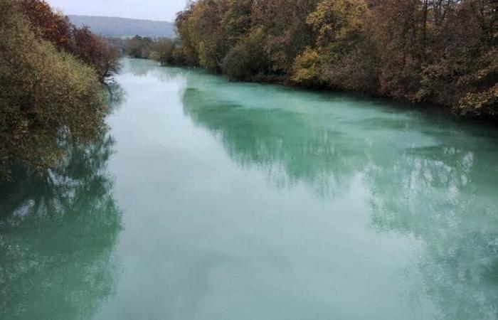 two tons of liquid latex spilled by an automobile factory