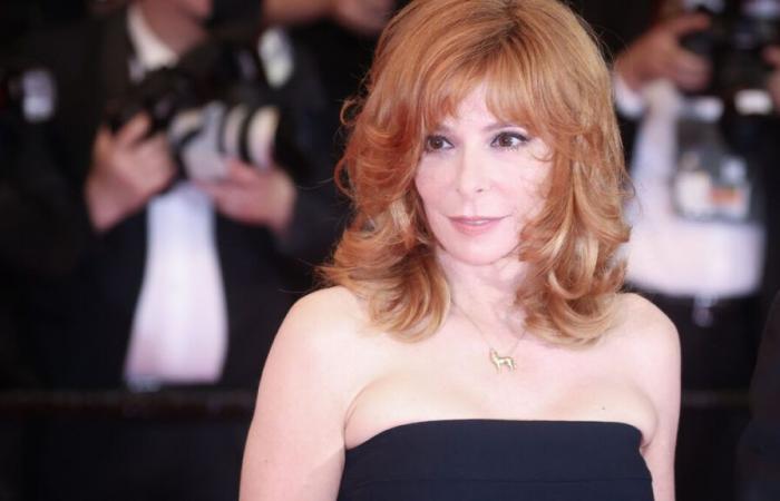 “Queen Mylène Farmer is here! »: the singer makes a surprise appearance at the Grand Rex in Paris