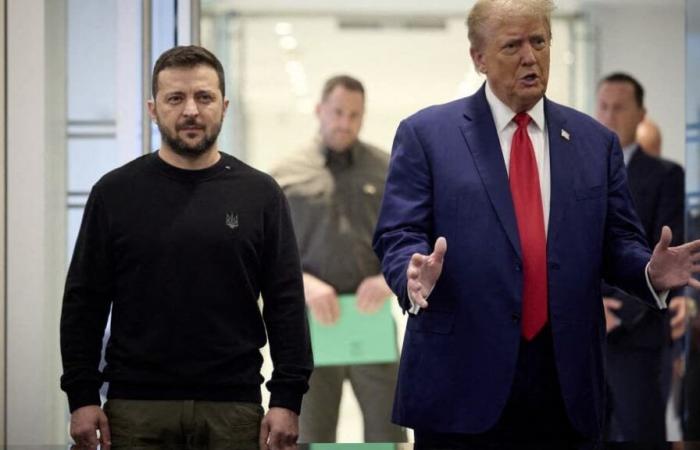 Elon Musk attended a call between Donald Trump and Volodymyr Zelensky