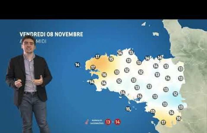 Your weather for Friday November 8, 2024 – Weather news