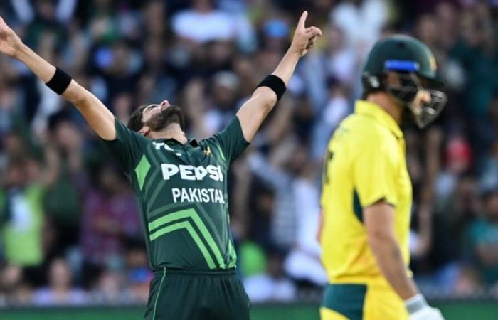 Australia Vs Pakistan 2nd ODI, Live Score: Haris Rauf Sends Back Marnus Labuschagne In Adelaide | AUS