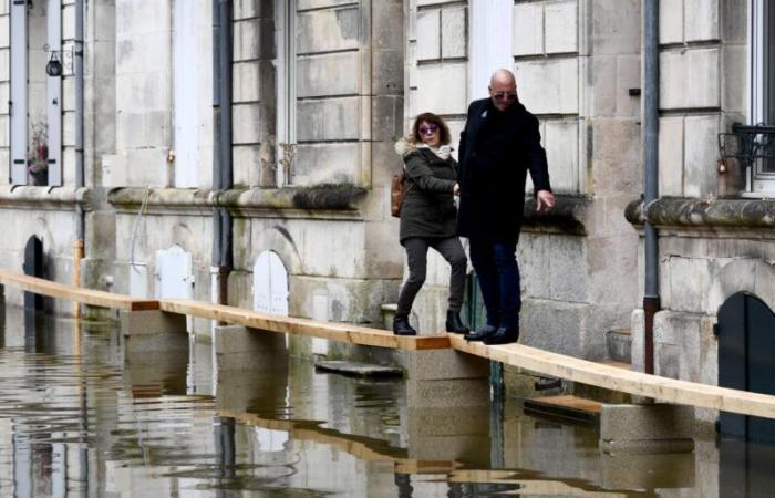 Parisians will be made aware of “flood risk” in 2025