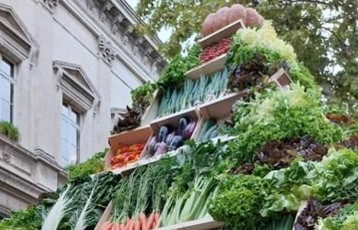 Légumes de France holds its congress on November 21 and 22 in Lot-et-Garonne