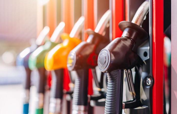 Fuel prices – A drop that is too contained – Brief