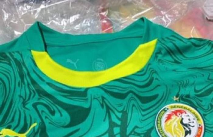 Football-Senegal national team: Leaked images of the new Lions jerseys!