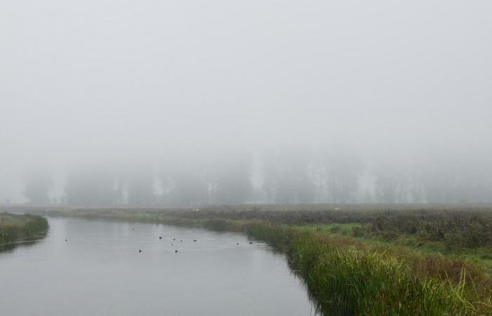 Weather report. Clouds, mists, clearings…: what are the forecasts for this long weekend in the Nord and Pas-de-Calais?