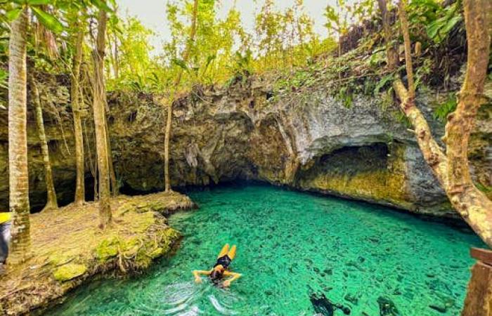 8 of the best cenotes near Tulum