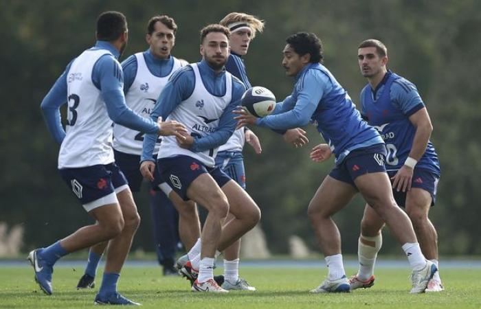 forget the extra-sporty, reinstate Dupont, replace Ntamack… The five challenges of the autumn tour for the XV of France