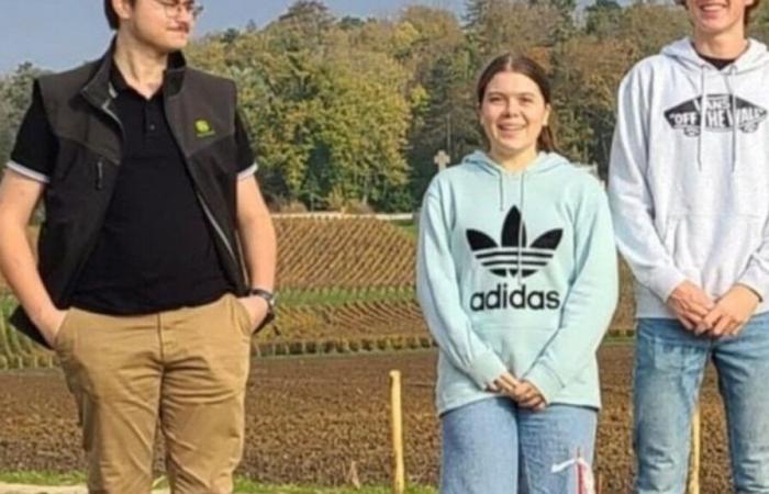 “This tree will be their confidant”: children with cancer will plant a “Forest of Stars” in the Marne