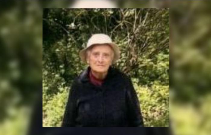 Indre-et-Loire: call for witnesses after the disappearance of a 94-year-old woman in Veigné