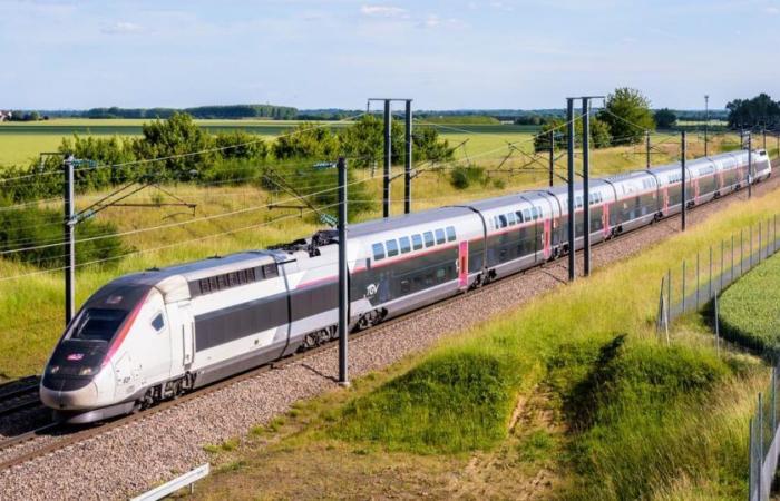 why many TGVs are canceled between Paris and the South-East this weekend