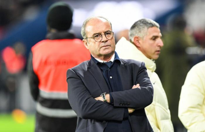 PSG: Close to Luis Campos, he brings a phenomenon to Paris