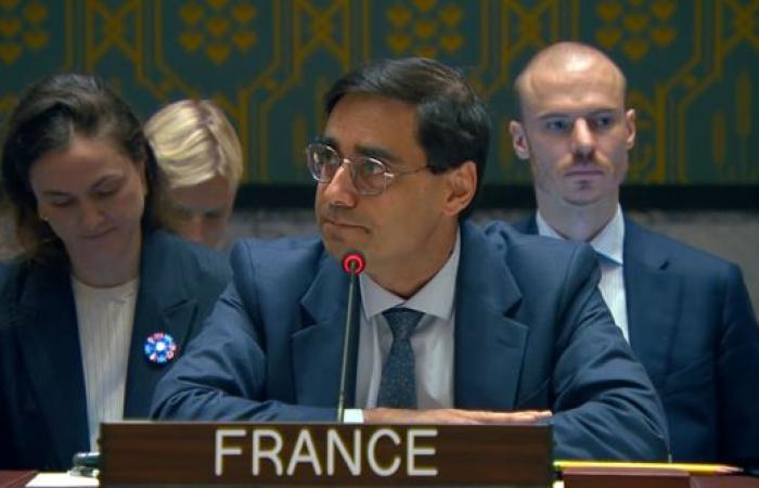 France remains ready to work to improve the consideration of (…)