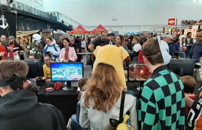 A show dedicated to retro video games to discover in Tarn-et-Garonne