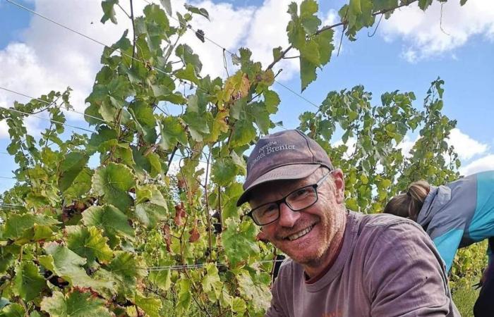 Domaine Lionel Brenier brings ancient grape varieties back to life in the Drôme des Collines.